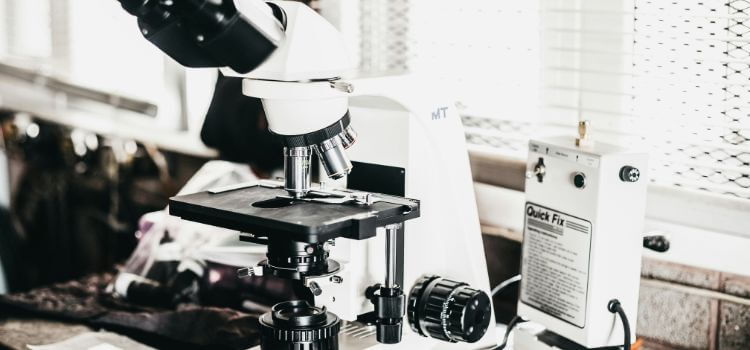 What are Compound Microscopes Used For